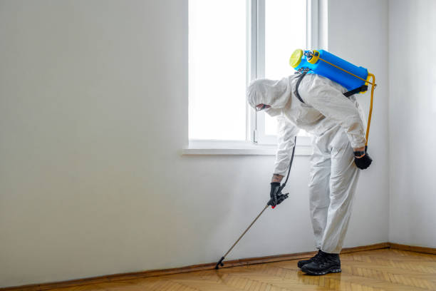 Best Wasp Removal Services  in Westfield Center, OH