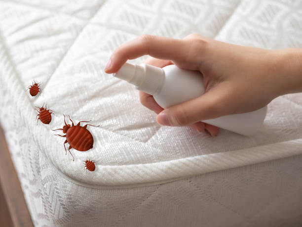 Best Pest Prevention Services  in Westfield Center, OH