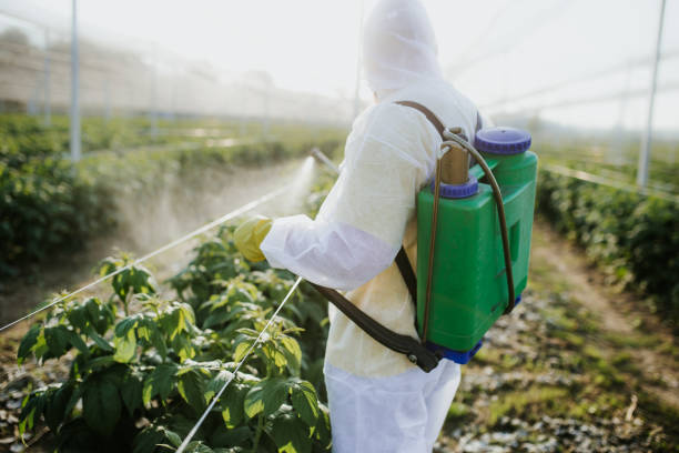 Best Insect Control  in Westfield Center, OH